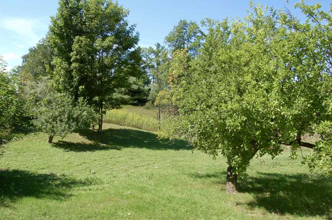 7775 Sayler Road Williamsburg, MI 49690 - Photo 18 of 24 1822395-17.JPG