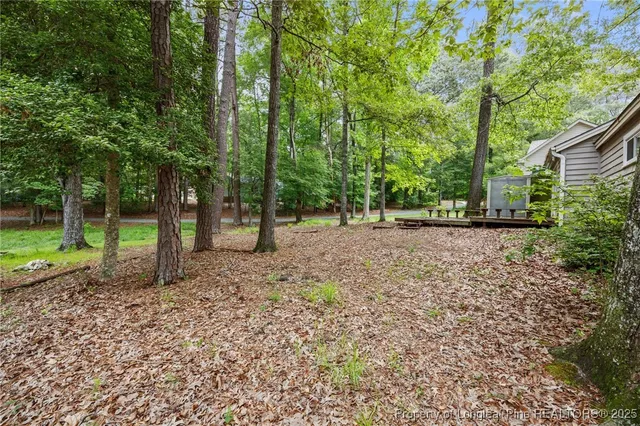 a backyard of a house with lots of green space