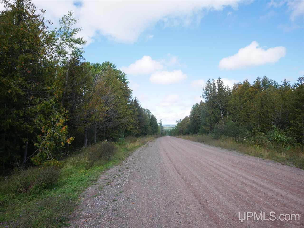 Tbd Gratiot River Road Allouez, MI 49805 - Photo 3 of 7