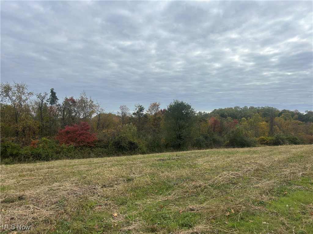 0 Pert Hill Road Hopewell, OH 43746 - Photo 8 of 14