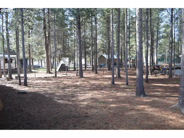 a view of outdoor space with lots of trees