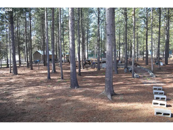 a view of outdoor space with lots of trees
