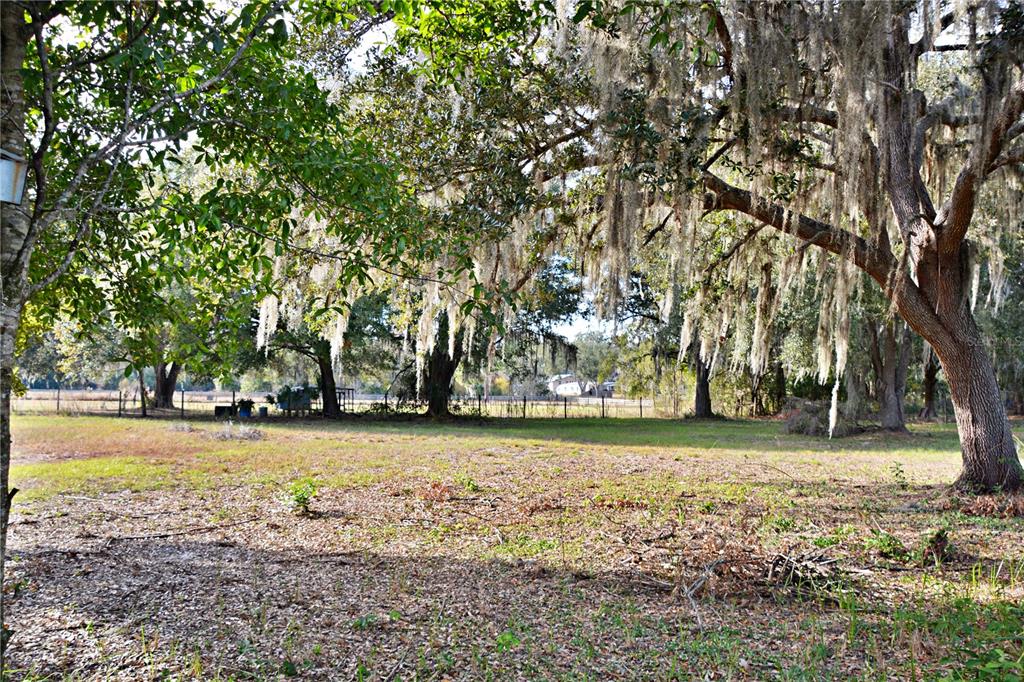 5528 Cherry Road Lakeland, FL 33810 - Photo 34 of 47 a view of a yard with a trees