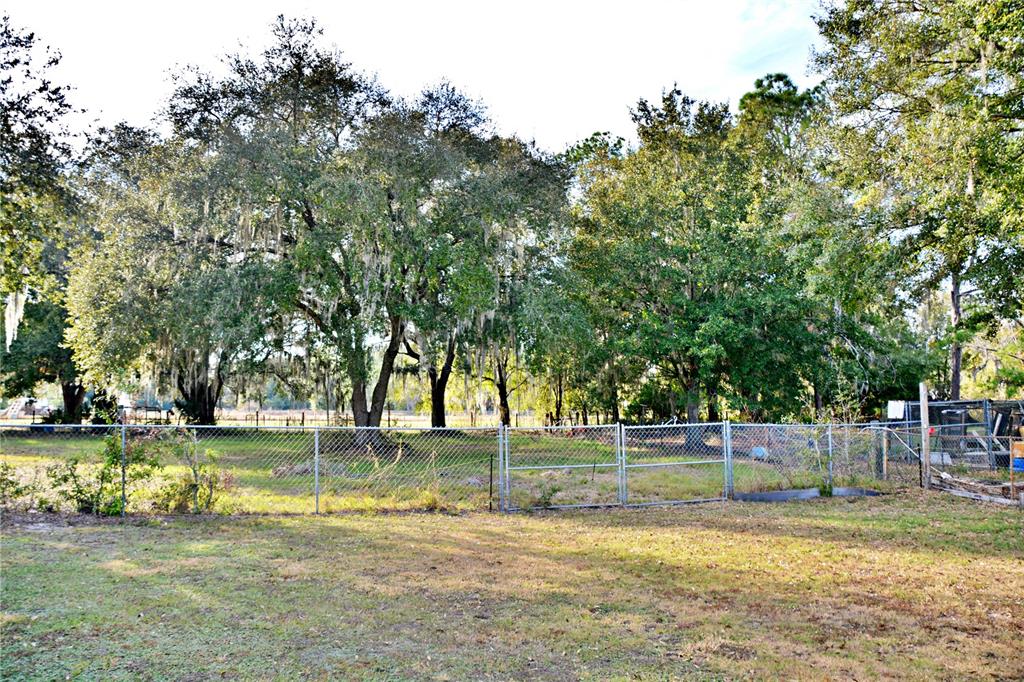 5528 Cherry Road Lakeland, FL 33810 - Photo 43 of 47 a view of a swimming pool with a garden and trees