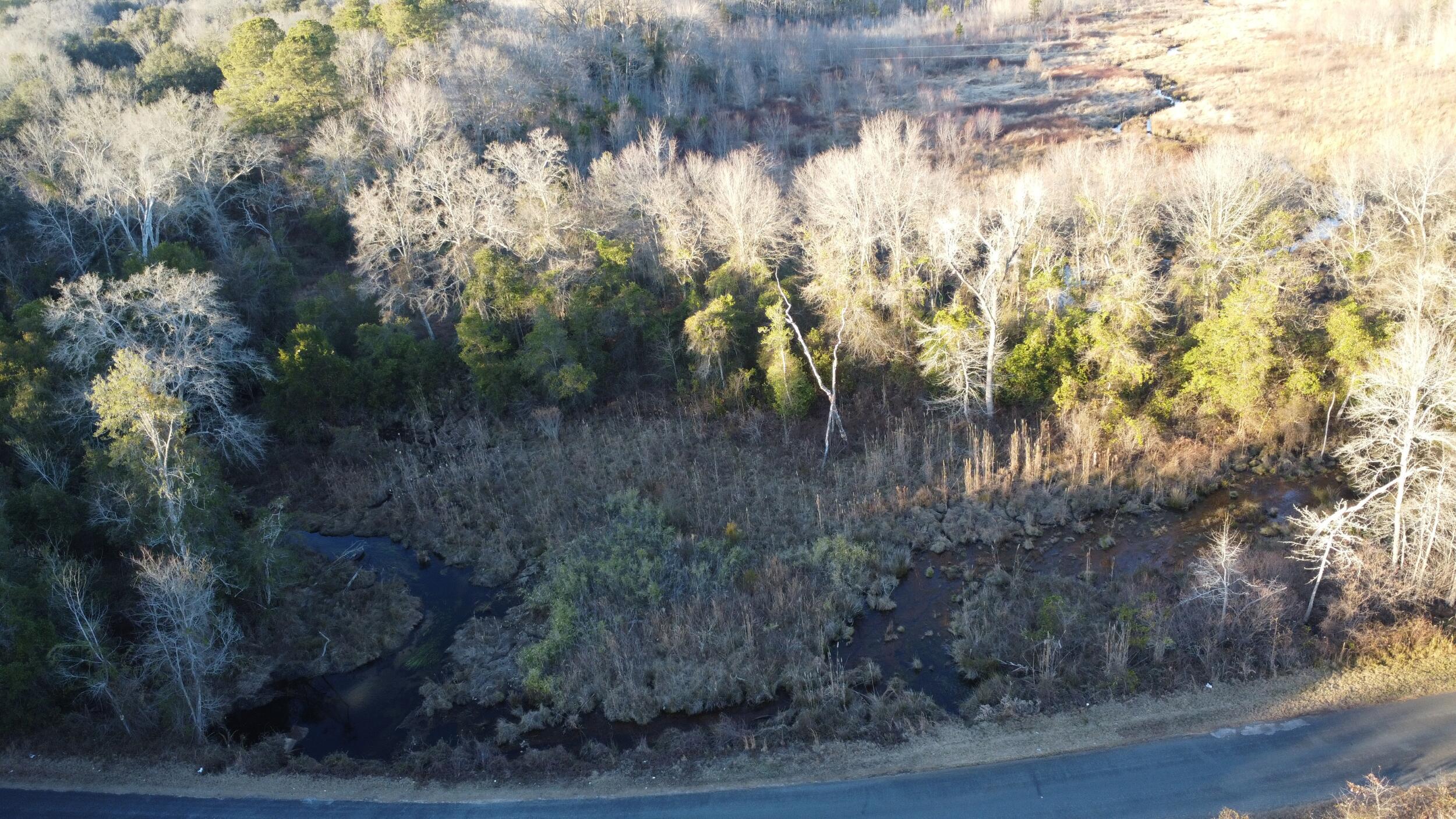 0 Millers Pond Road Salley, SC 29137 - Photo 11 of 28