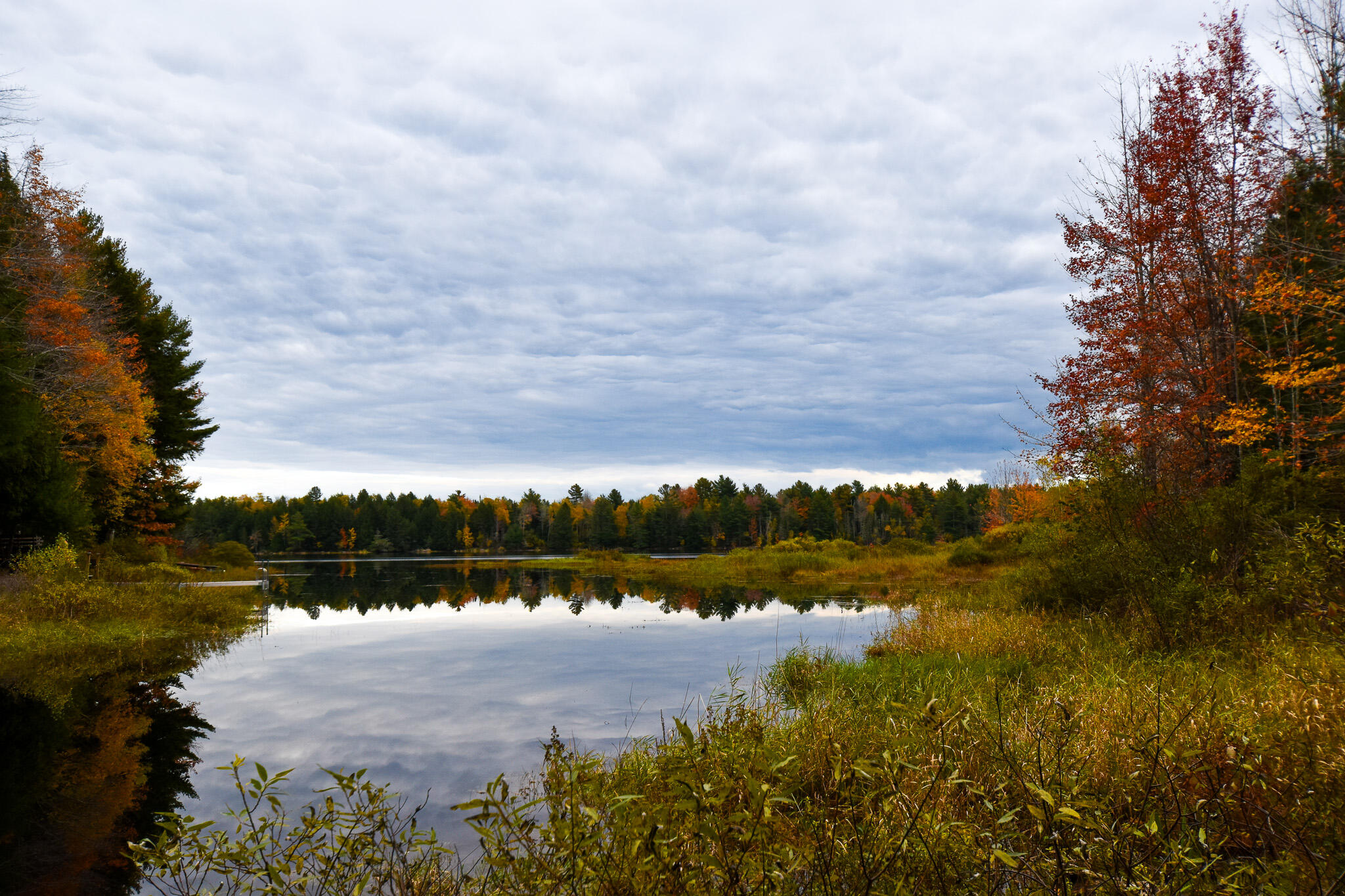 107 Silsby Road Mariaville, ME 04605 - Photo 2 of 22 DSC_0013