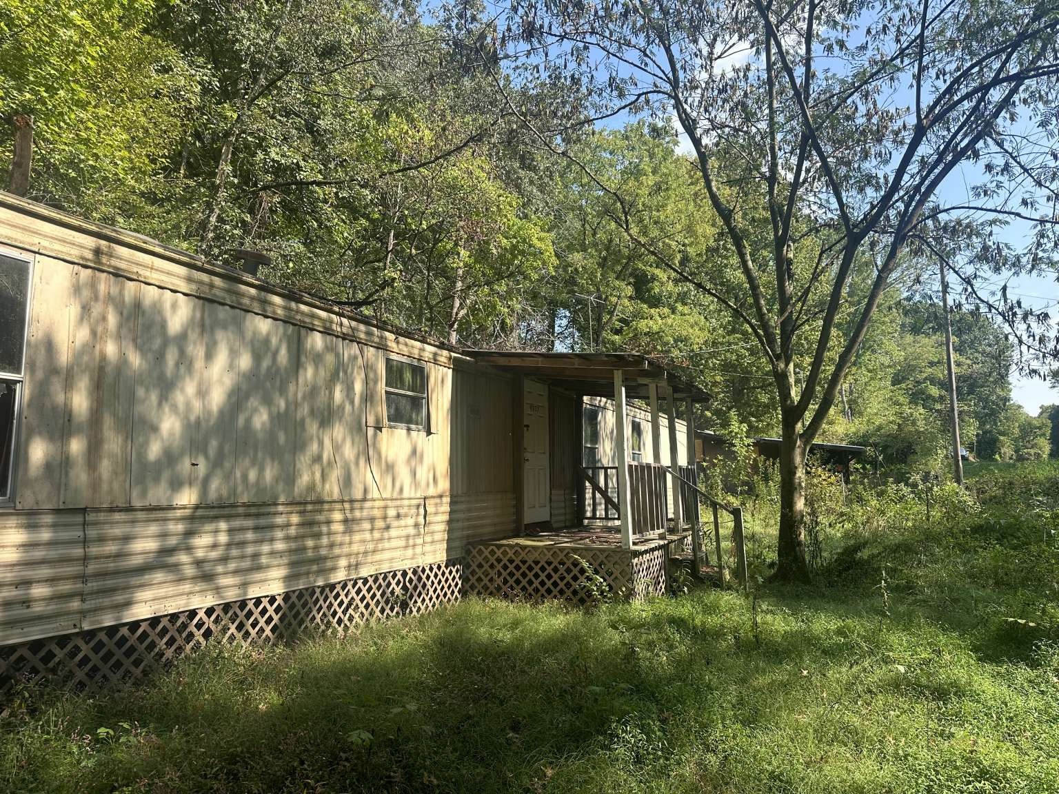 4331 Highway 100 Lyles, TN 37098 - Photo 11 of 15