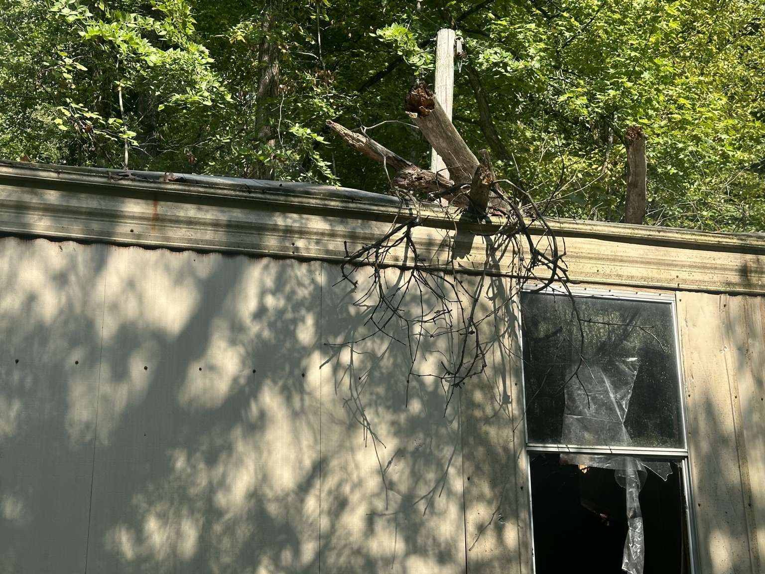 4331 Highway 100 Lyles, TN 37098 - Photo 14 of 15