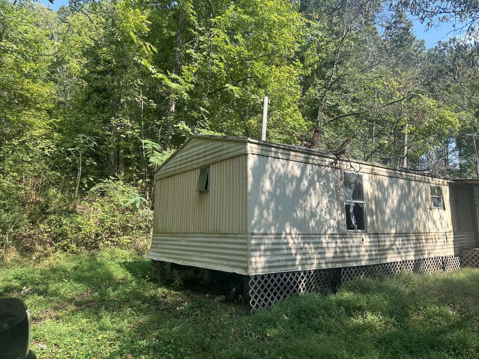 4331 Highway 100 Lyles, TN 37098 - Photo 3 of 15