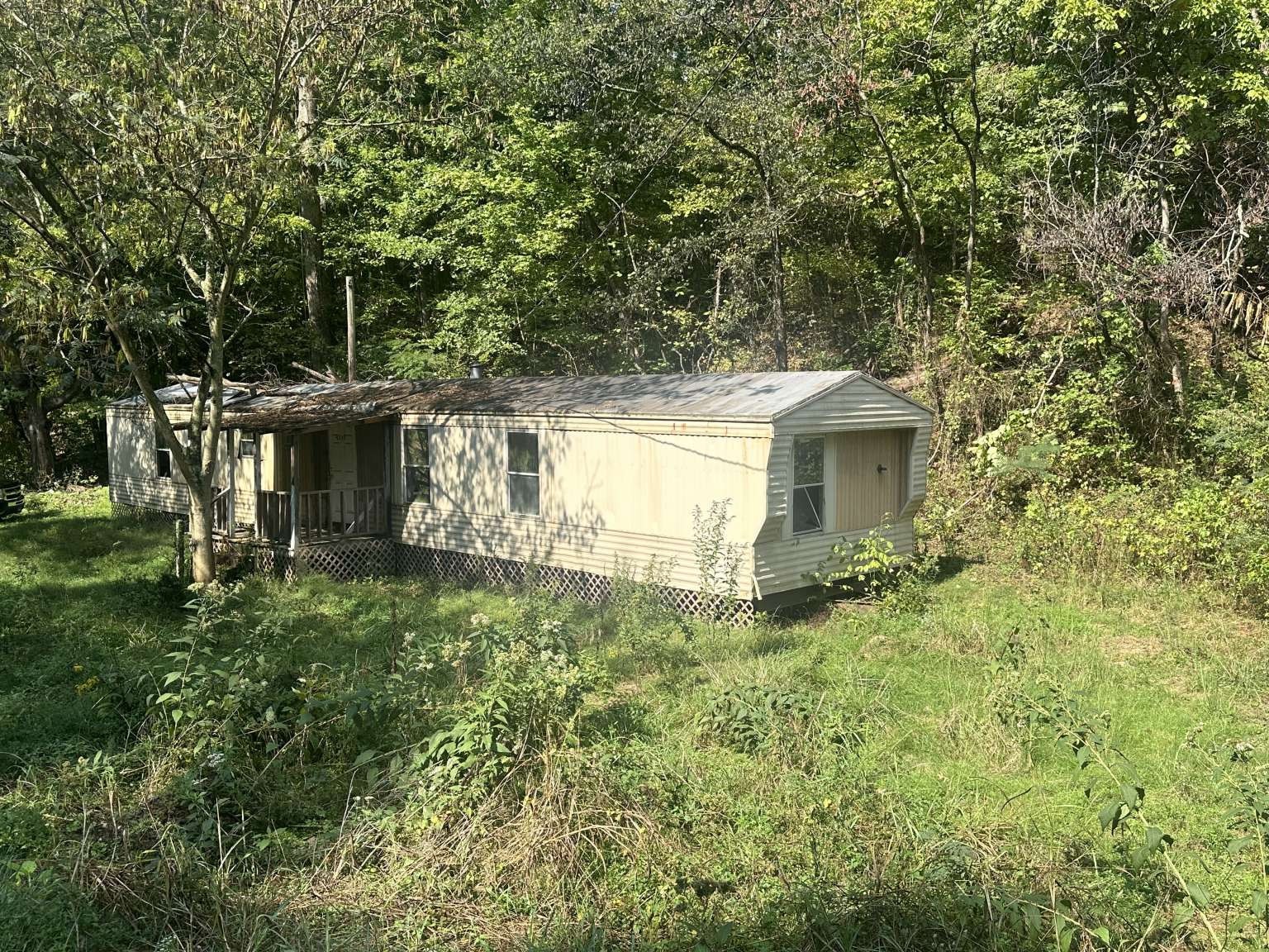 4331 Highway 100 Lyles, TN 37098 - Photo 5 of 15