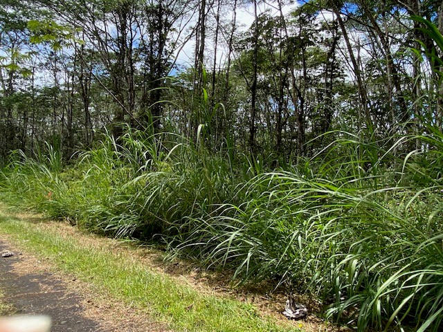 14-3525 Lot 228 Pikake Road Pahoa, HI 96778 - Photo 4 of 11