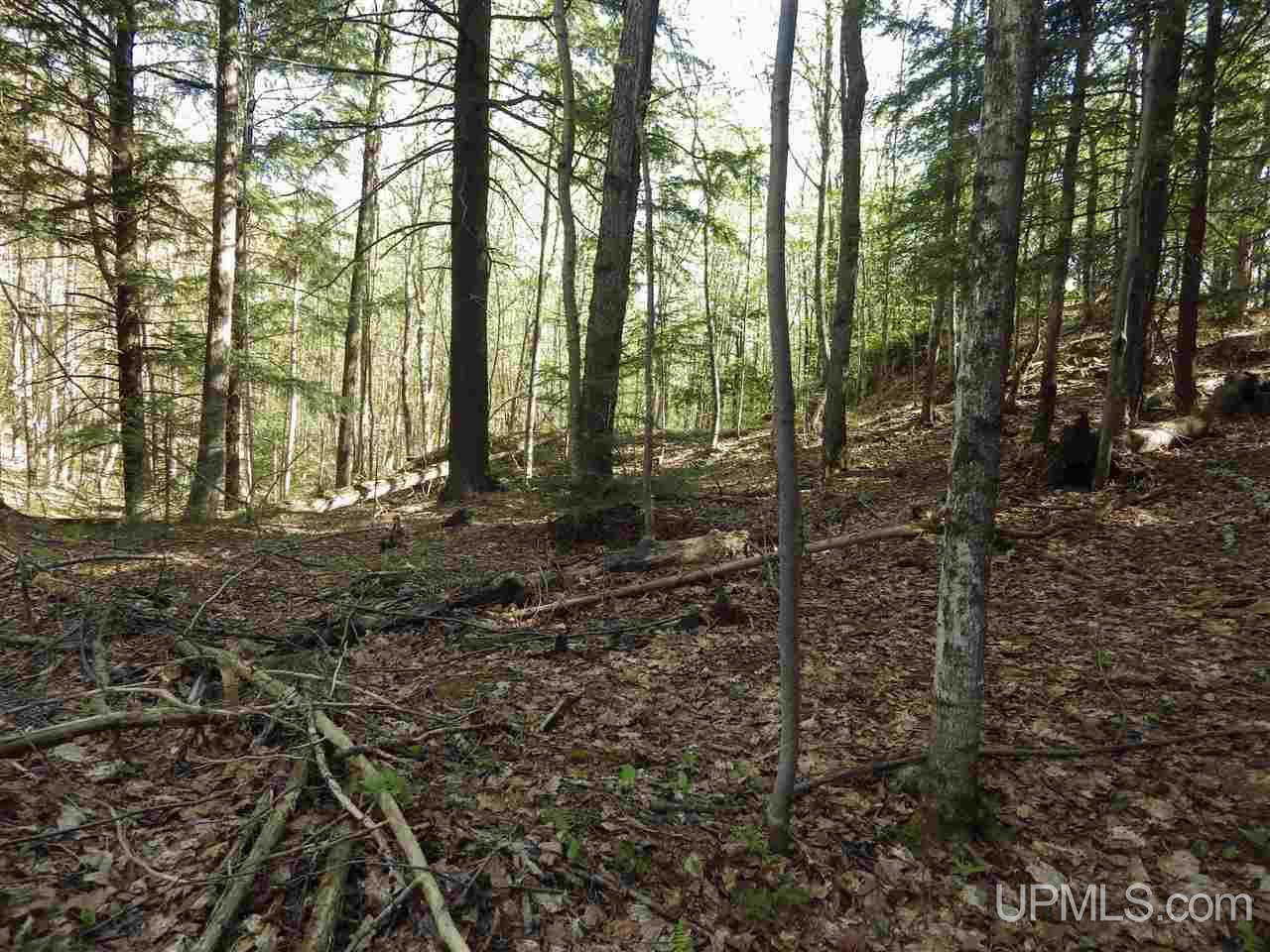 30 Acres Off Grove Street Marquette, MI 49855 - Photo 18 of 22