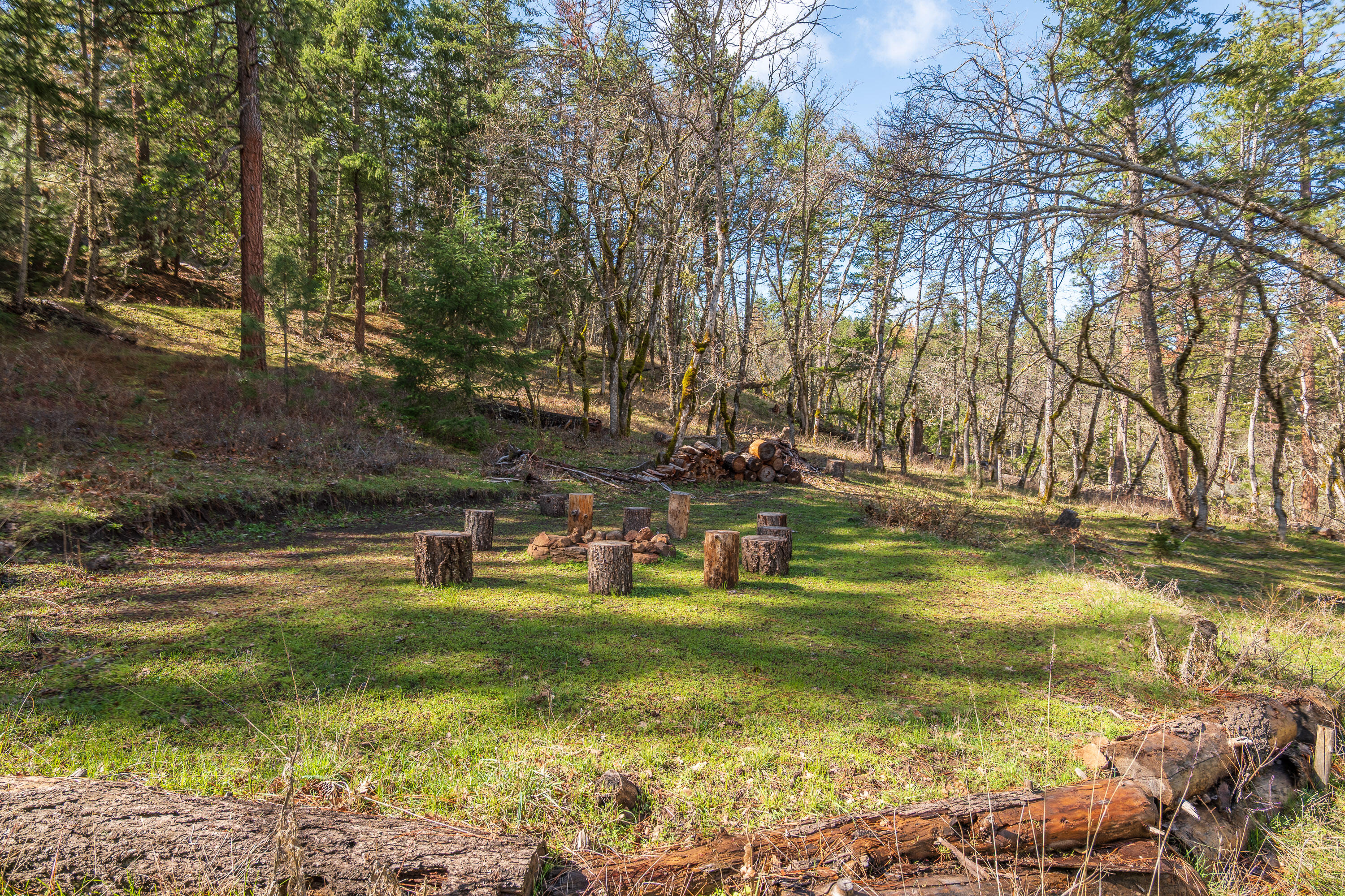 2829 Buckhorn Springs Road Ashland, OR 97520 - Photo 11 of 44 010