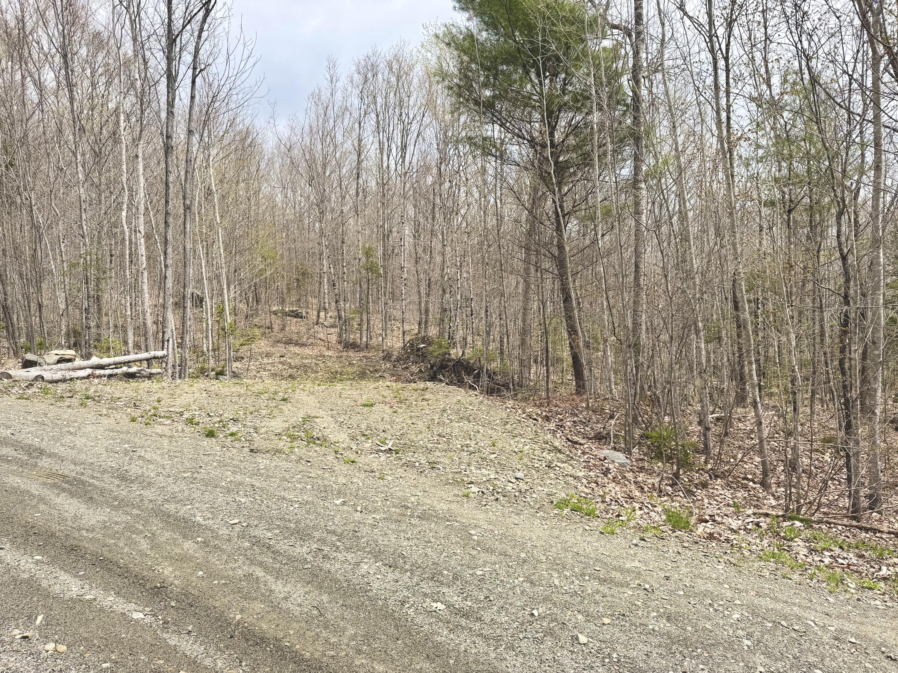 Lot 2 Mooseley Ridge Road Phillips, ME 04966 - Photo 4 of 24