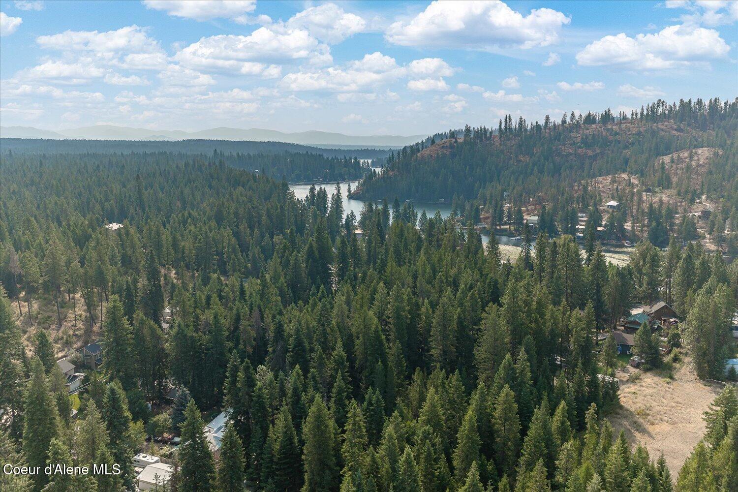 Nka West Radmer Road Rathdrum, ID 83858 - Photo 46 of 47 47