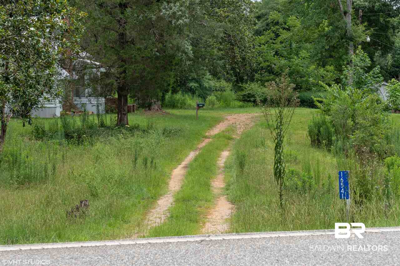 16541 Pineapple Highway Pine Apple, AL 36768 - Photo 3 of 20