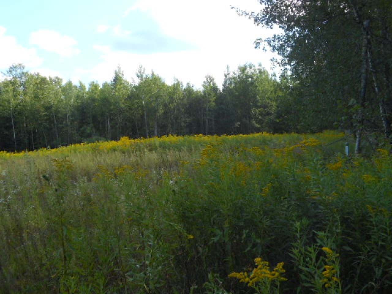 N2941 Blackhawk Road Elton, WI 54430 - Photo 37 of 44 Gallery Image 37