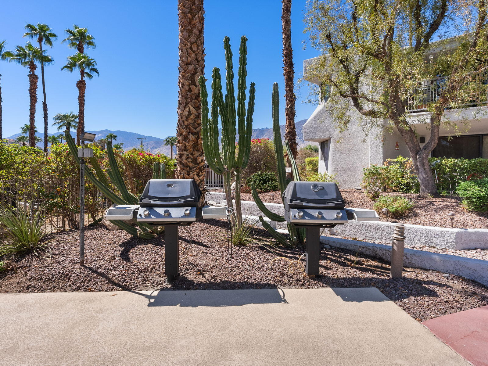 3155 Ramon Road, Unit 808 Palm Springs, CA 92264 - Photo 29 of 37 a sitting area with furniture and a potted plant