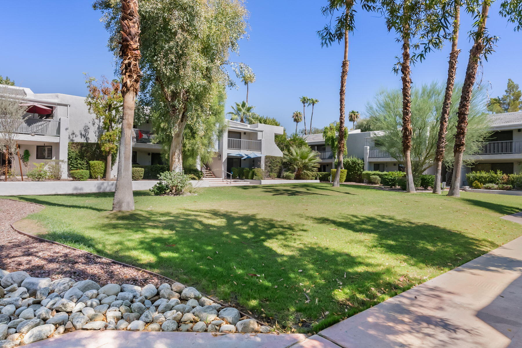 3155 Ramon Road, Unit 808 Palm Springs, CA 92264 - Photo 31 of 37 a view of a park with large trees