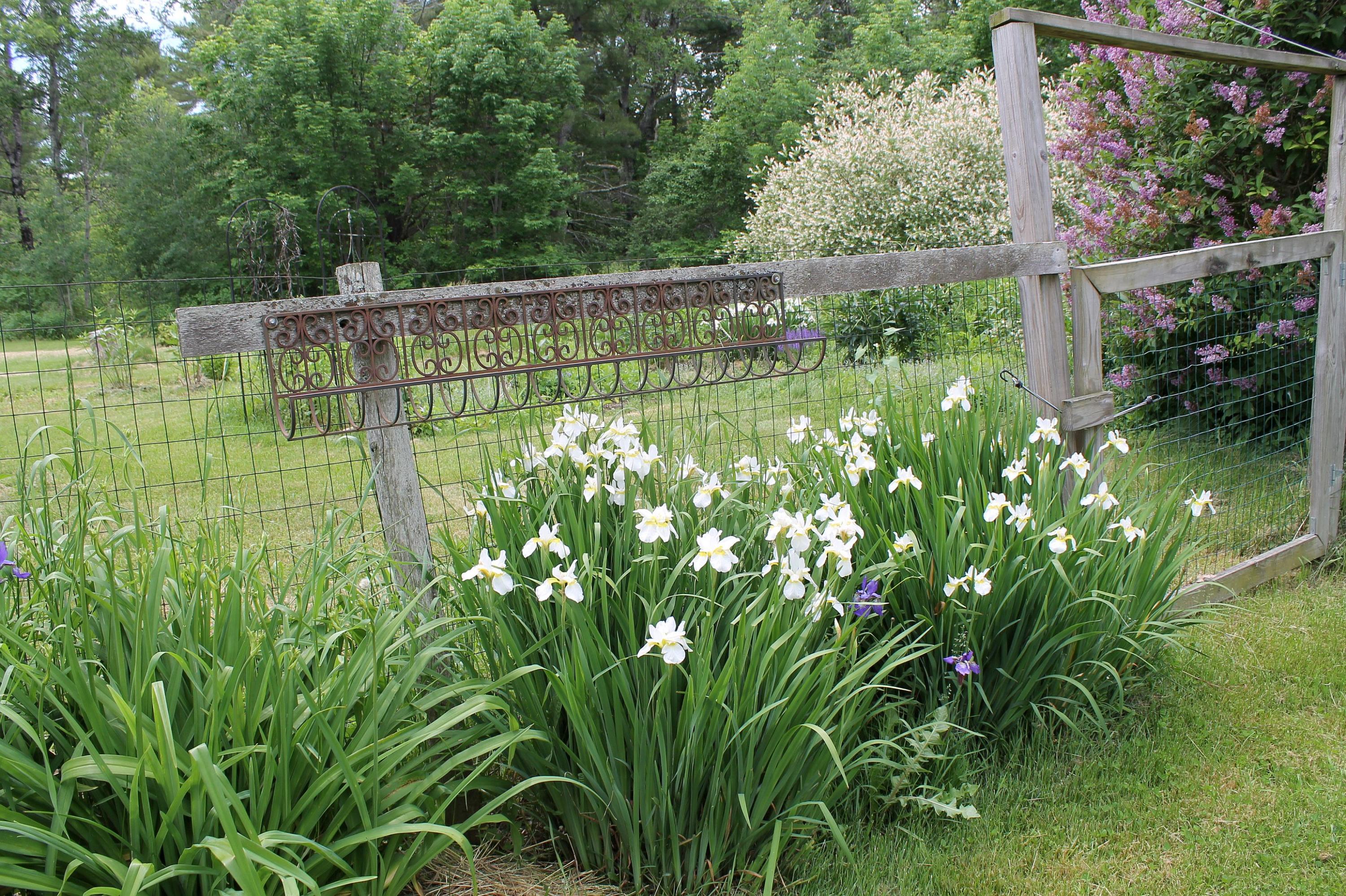 1006 East Waldo Road Belfast, ME 04915 - Photo 18 of 23 Flower beds