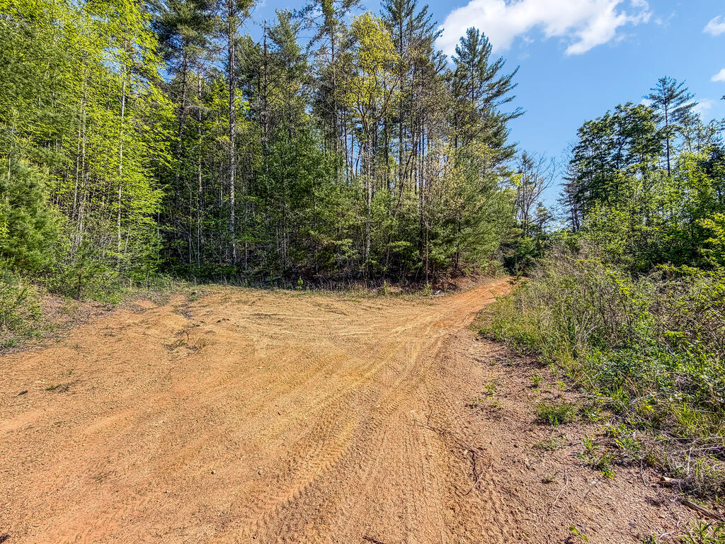 40-ac #1 40-ac Road Mineral Bluff, GA 30559 - Photo 27 of 35 Gallery Image 27