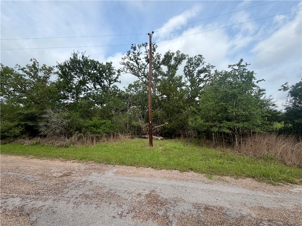505 Deer Run Trail Somerville, TX 77879 - Photo 1 of 14 a backyard of a house with lots of green space and lake view
