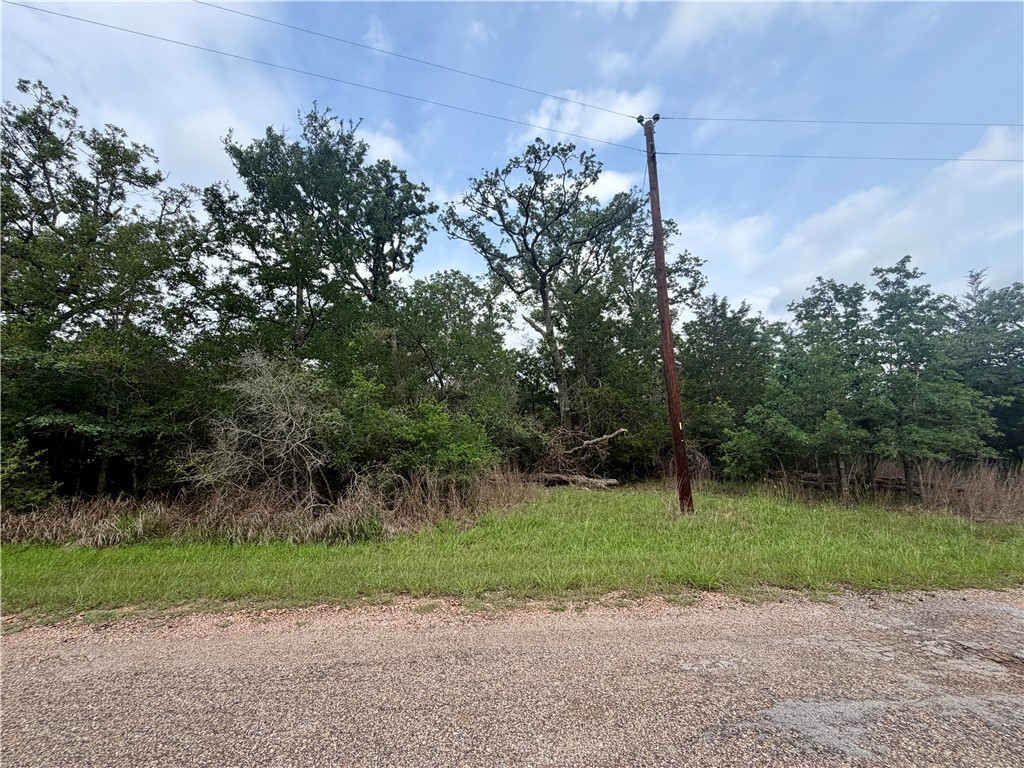 505 Deer Run Trail Somerville, TX 77879 - Photo 11 of 14 a backyard of a house with lots of green space