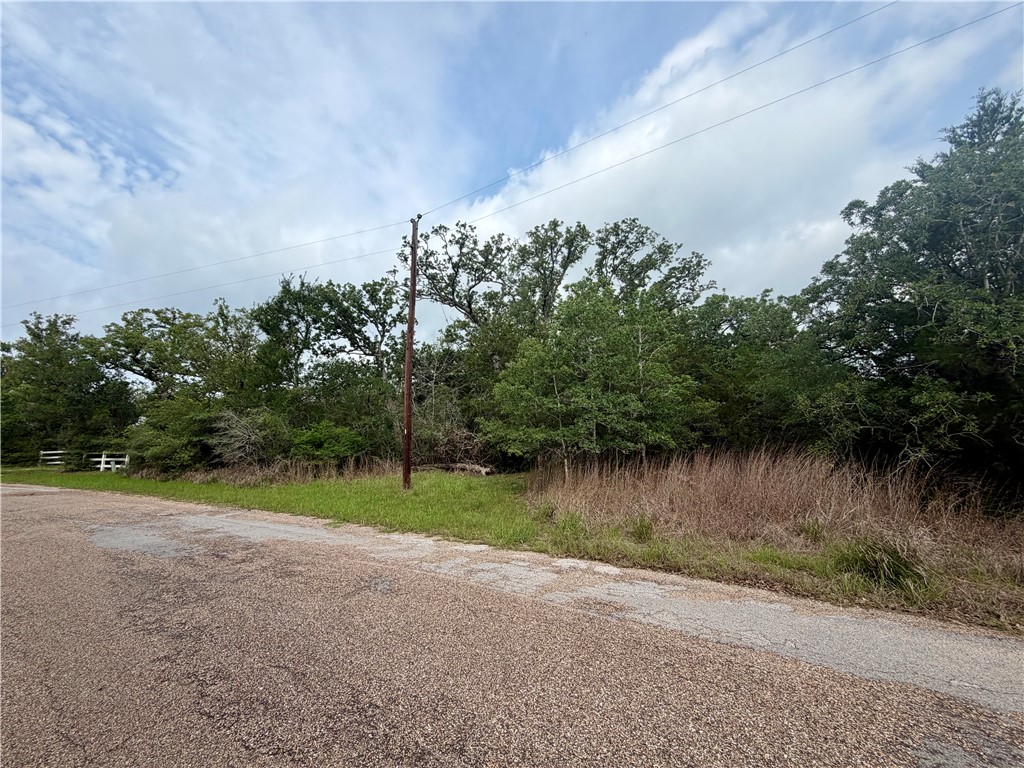 505 Deer Run Trail Somerville, TX 77879 - Photo 2 of 14 a view of a lake with outdoor space
