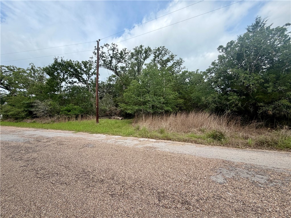505 Deer Run Trail Somerville, TX 77879 - Photo 3 of 14 a view of a lake from a yard