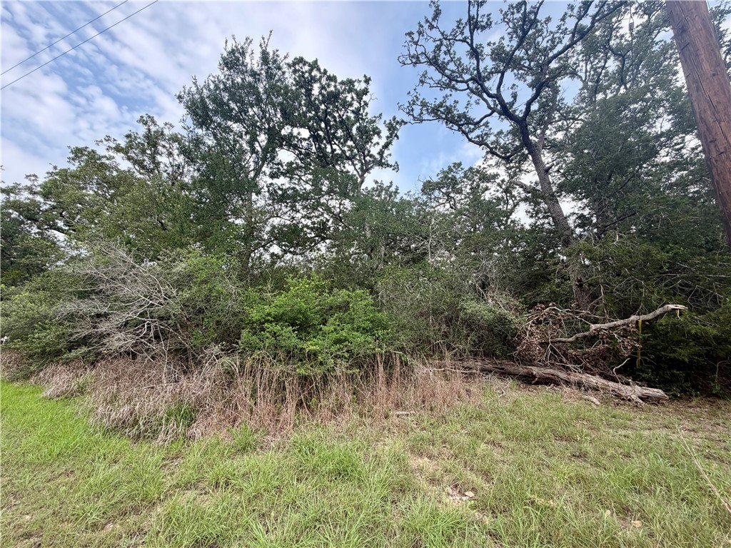 505 Deer Run Trail Somerville, TX 77879 - Photo 4 of 14 a backyard of a house with lots of green space