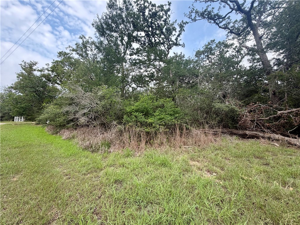 505 Deer Run Trail Somerville, TX 77879 - Photo 6 of 14 a view of a lake with a tree