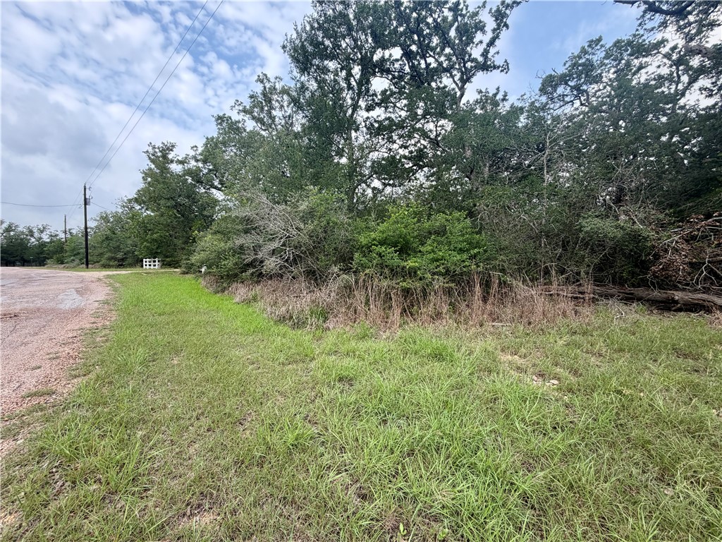 505 Deer Run Trail Somerville, TX 77879 - Photo 10 of 14