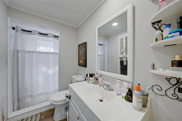 a bathroom with a sink a toilet and shower curtain