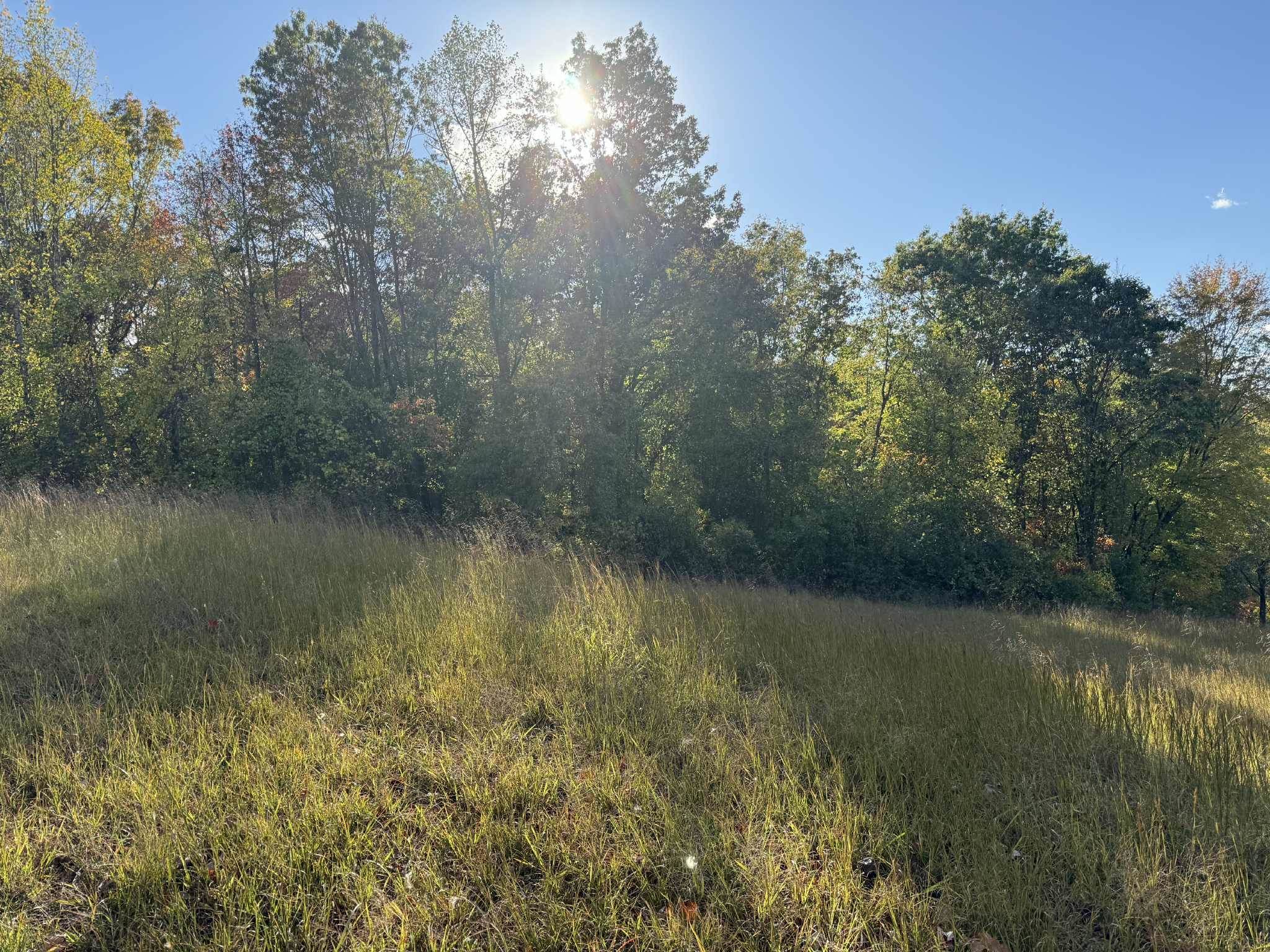 1100 West Price Branch Road Ashland, KY 41102 - Photo 7 of 16