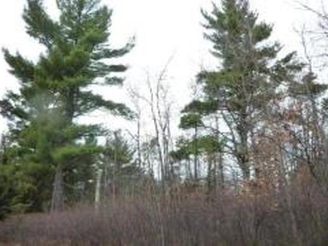 Lot 1 Glyn Road Woodruff, WI 54568 - Photo 1 of 9 Gallery Image 1