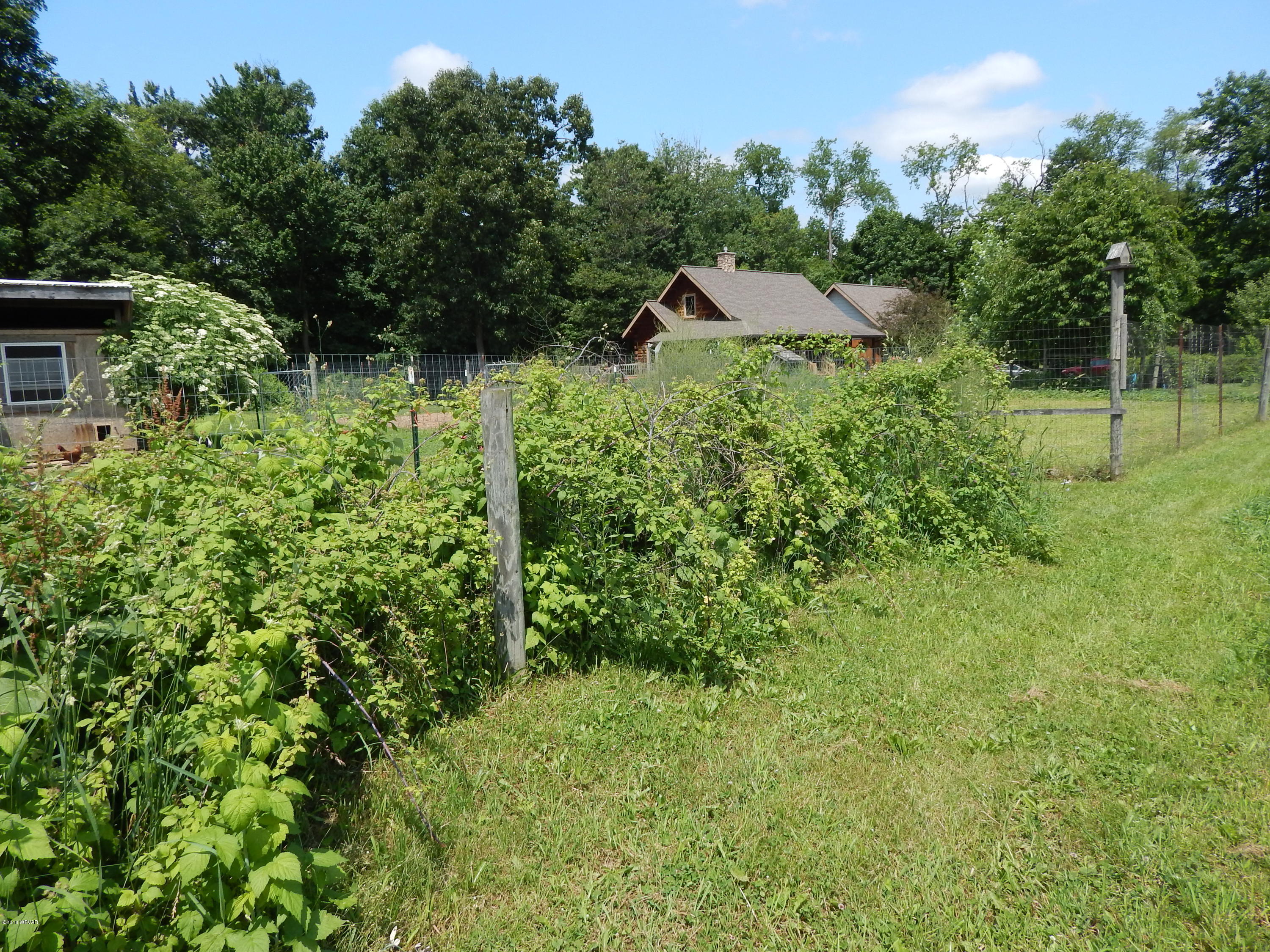 106 Pentz Road New Columbia, PA 17856 - Photo 41 of 45 Berry bushes
