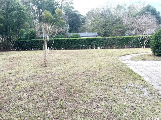 a view of yard with large trees