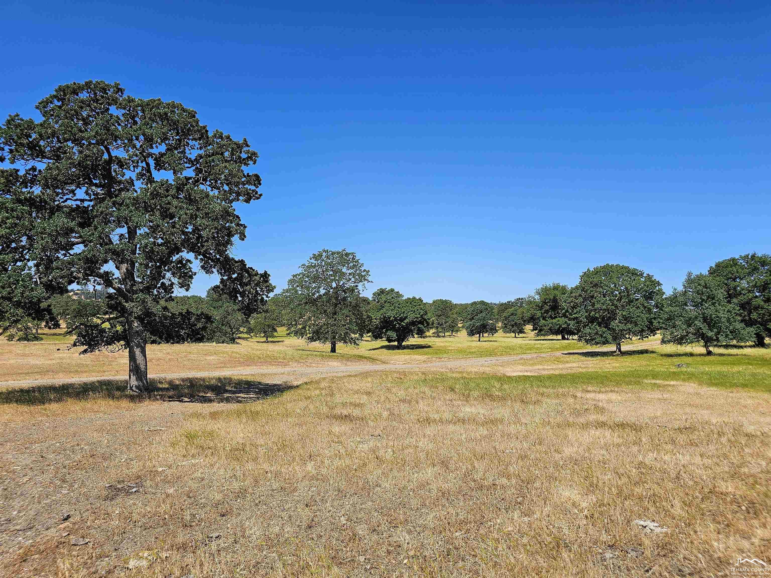 0 Jellys Ferry Road Red Bluff, CA 96080 - Photo 17 of 24 Gallery Image 17