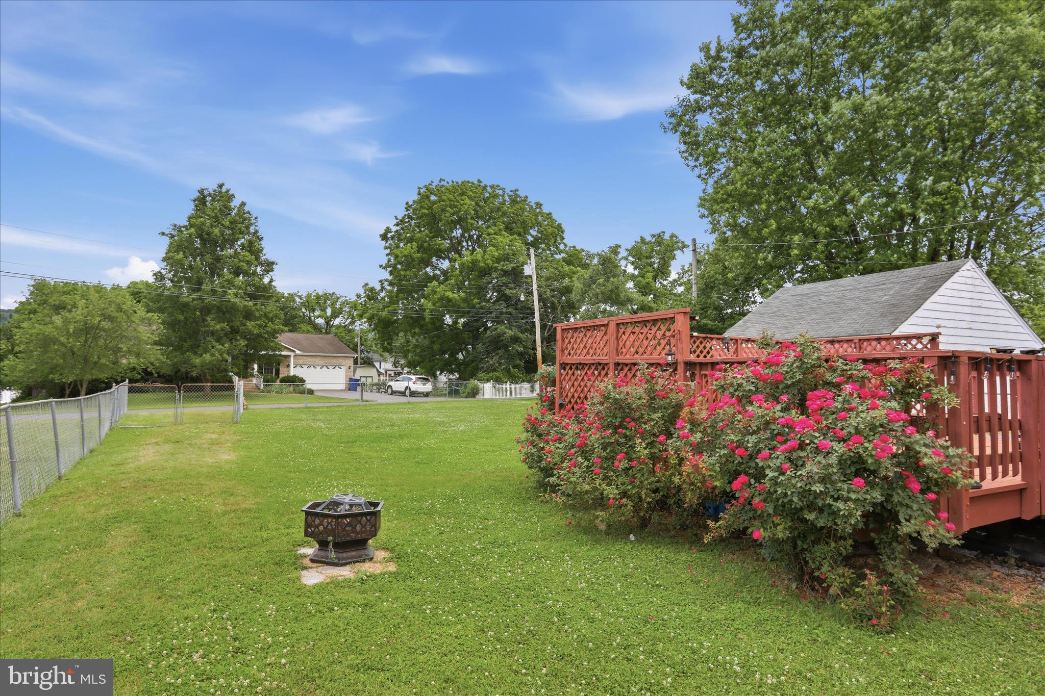 605 Stockton Road Front Royal, VA 22630 - Photo 11 of 54 Beautiful mature rose bushes on property