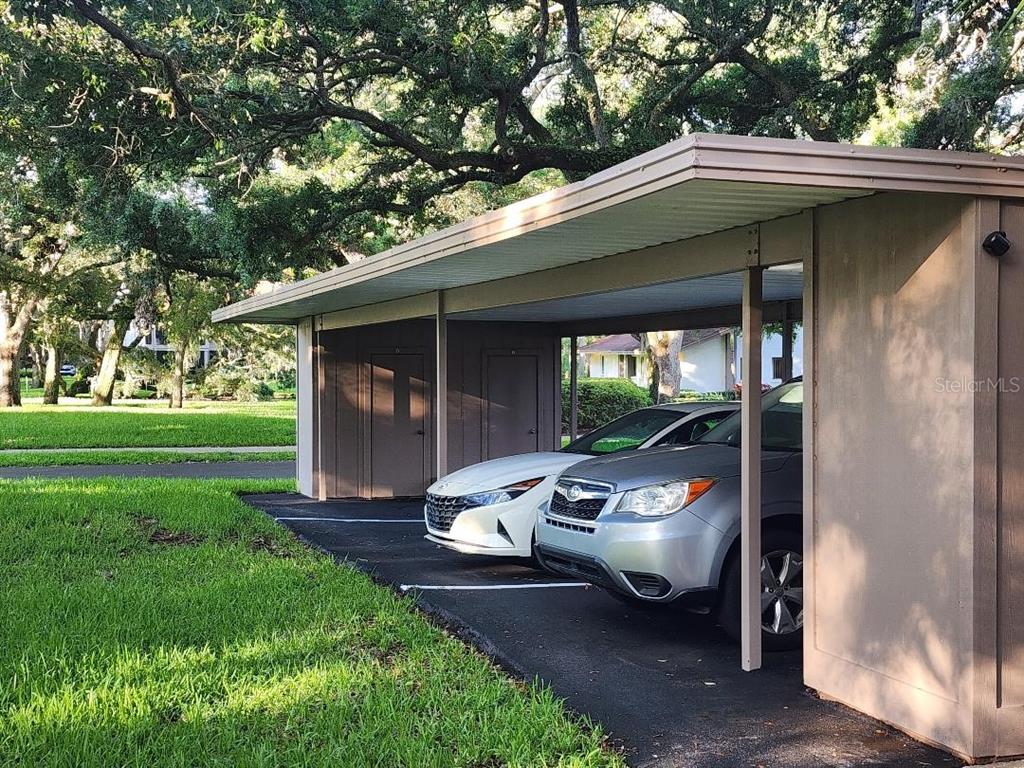603 Baldwin Avenue, Unit B Safety Harbor, FL 34695 - Photo 2 of 32 a front view of a house with garden
