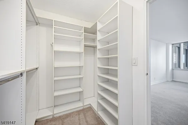 a view of walk in closet with empty racks