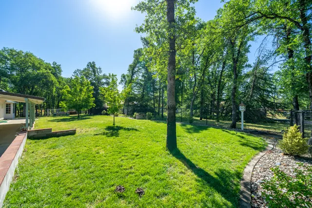 a garden with trees in the background