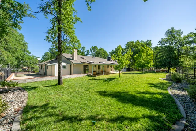 a view of a house with a big yard potted plants and large tree