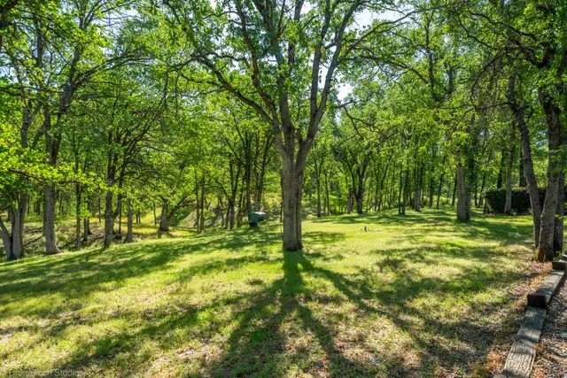 a yard with trees in the background