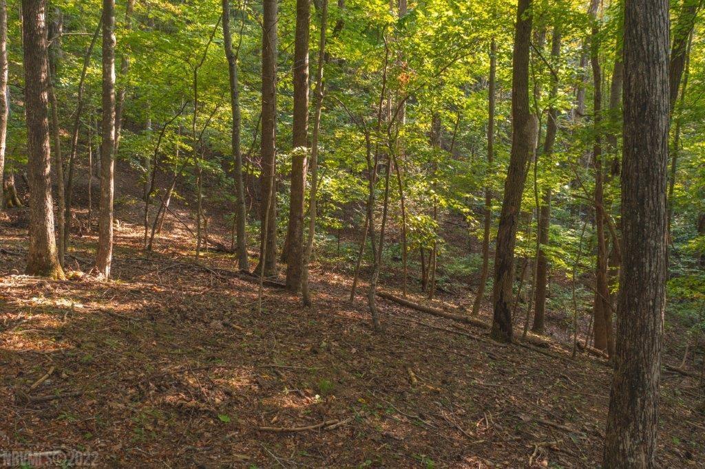 Tbd North Fork Road Elliston, VA 24087 - Photo 14 of 26 Gallery Image 14