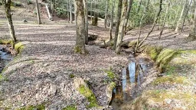 $549,000 | 520 Farmer Drive, Murphy, NC 28906