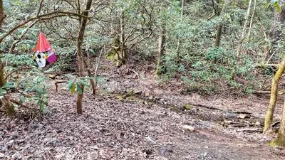 $549,000 | 520 Farmer Drive, Murphy, NC 28906