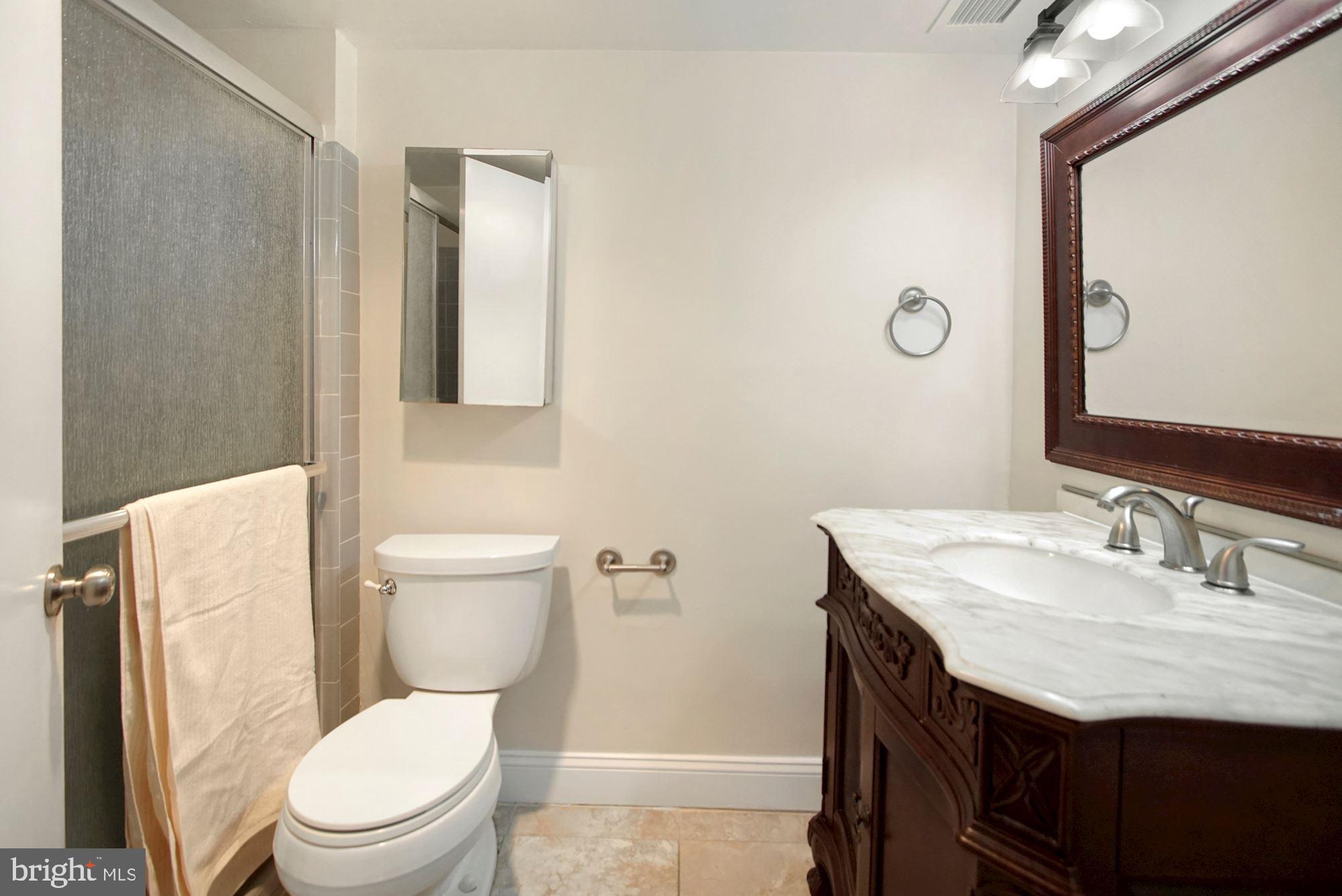 2100 Washington Avenue, Unit 3D Silver Spring, MD 20910 - Photo 15 of 18 Bathroom #2