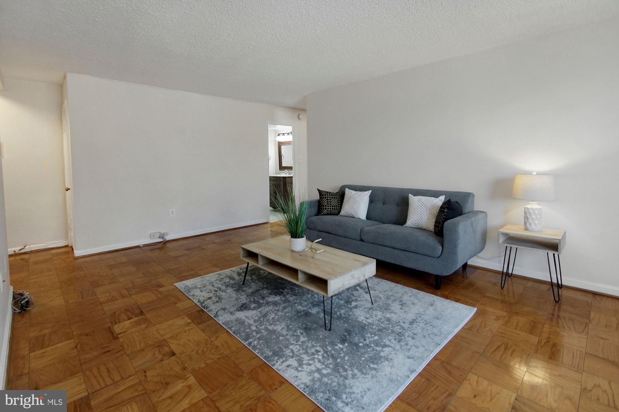2100 Washington Avenue, Unit 3D Silver Spring, MD 20910 - Photo 4 of 18 Living Room