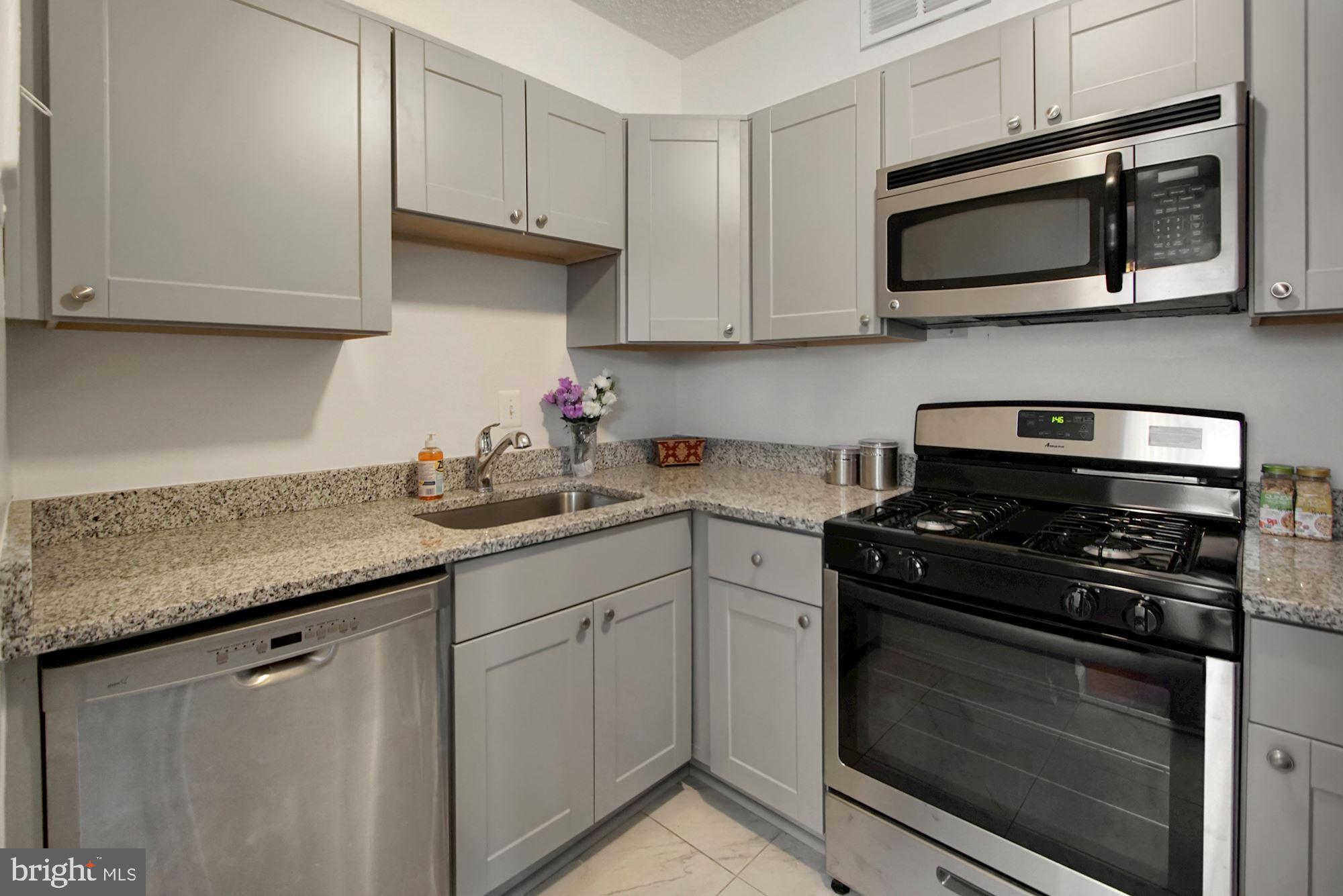2100 Washington Avenue, Unit 3D Silver Spring, MD 20910 - Photo 6 of 18 New Kitchen!